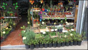 VIVERO - HOGAR JARDIN