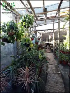 Vivero Irupé