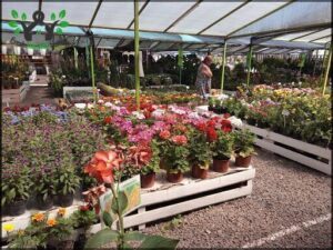 Vivero Las Palmeras Resistencia