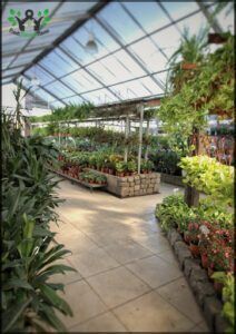 Vivero Mario Palermo