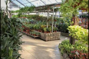 Vivero Mario Palermo
