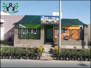 Vivero Mi Jazmín