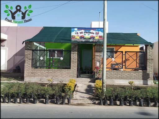 Vivero Mi Jazmín