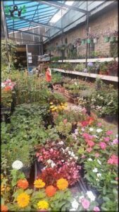 Vivero Palermo