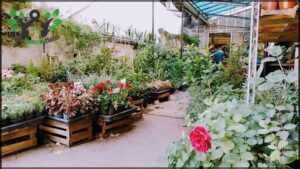 Vivero Palermo