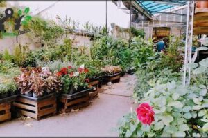 Vivero Palermo