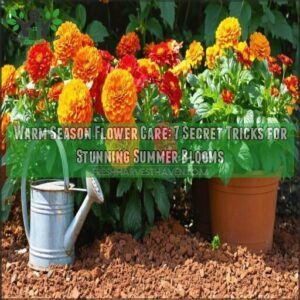 warm season flower care