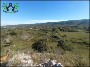A beautiful view of a valley with a rocky hillside and a clear blue sky.