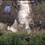 A blue and white striped towel hangs from a tree on a hillside.