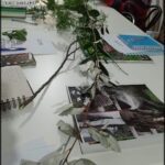 A branch with leaves and flowers sits on a table next to a book.