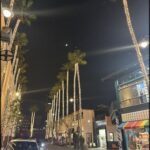 A city street at night with a row of lit palm trees and a moon in the sky.