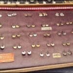 A display of various earrings, including gold and silver ones, are arranged in a wooden box.