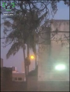 A full moon is seen in the sky above a building, with a palm tree in the foreground.