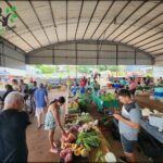 A group of people are shopping for fresh produce at an outdoor market.