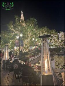 A group of people are sitting around a table, enjoying a meal and the beautifully lit Christmas tree in the background.
