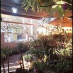 A large assortment of potted plants are displayed in a room, with some plants placed on the floor and others on tables.