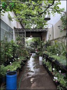 A large collection of potted plants is displayed in a covered area, creating a lush and vibrant atmosphere.