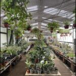 A large greenhouse filled with various plants and potted plants.