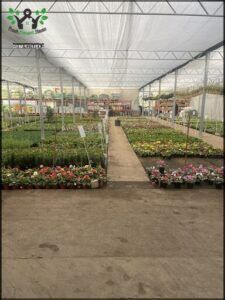 a large greenhouse with many plants and flowers inside