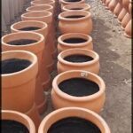 A large number of pots are lined up in a row, each containing a plant.