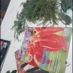 A magazine with the title "Gardening" sits on a table with a potted plant and some greenery.