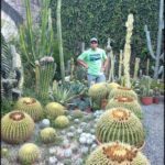 A man stands in a garden surrounded by cacti and other plants, wearing a green shirt.