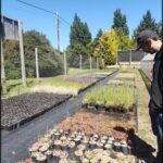 A man stands in a garden, surrounded by various potted plants.