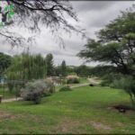 A park with a tree and a bench.