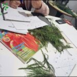 A person is working on a project, surrounded by various items such as a book, a cell phone, a pair of scissors, and a potted plant.