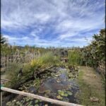 A pond with a fence around it, and a small building nearby.