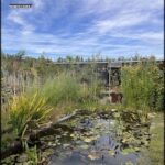 A serene garden scene with a pond, plants, and a small building.