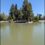 A serene lake with a small island in the middle, surrounded by trees.