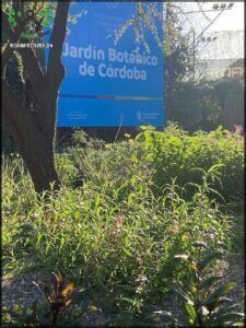 A sign for a garden is in front of a tree.