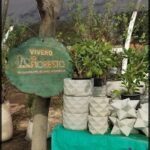 A sign for a nursery is displayed in front of a tree.
