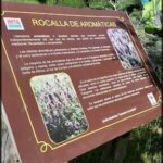 A sign is posted in the woods, describing the plants and flowers in the area.