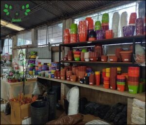 A store with a variety of pots and plants for sale.