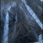 A tree with snow on it stands in front of a waterfall.