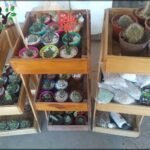 A variety of potted plants are displayed in wooden crates, including a mix of cacti and other plants.