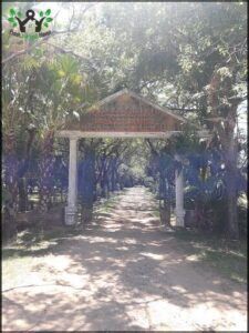 a view of a gate with a sign that says the entrance to a park