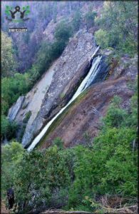 A waterfall in the woods with a rocky cliff.