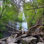 A woman sits on a rock near a waterfall, surrounded by trees and rocks.