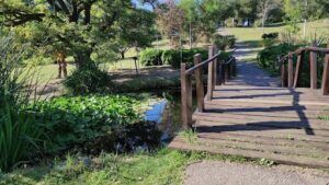 A wooden bridge over a pond with a bench on the side.