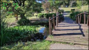 A wooden bridge over a pond with a bench on the side.