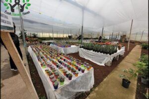 AGROPLANTA SRL