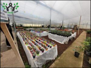 AGROPLANTA SRL