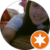 agus jara