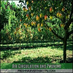 Air Circulation and Pruning
