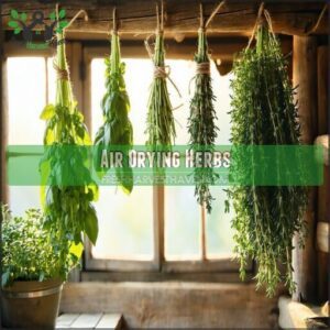 Air Drying Herbs