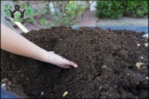 Alternativa Humus