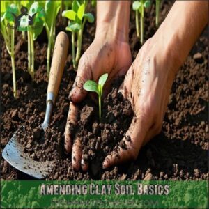 Amending Clay Soil Basics